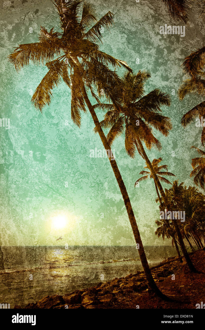 Beautiful sunset at tropical beach with palm trees. Ocean landscape in vintage style. India Stock Photo