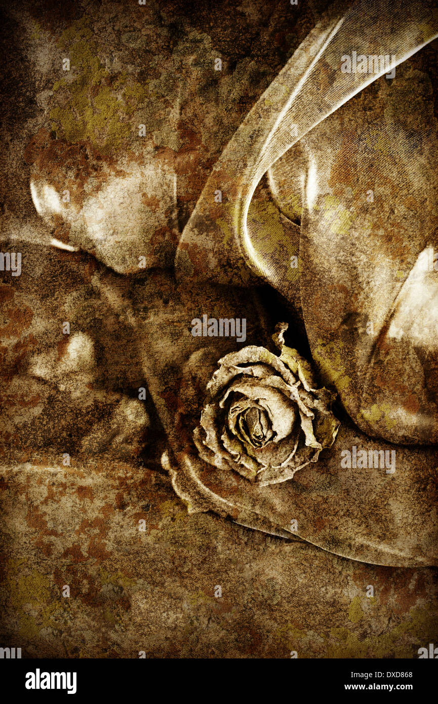 Vintage background: Dry rose on satin. Black and white image, shallow depth of field Stock Photo