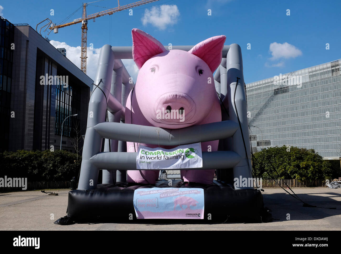 A giant inflated pig in a cage stands near the EU headquarters where the European Agriculture ministers gather for their council meeting in Brussels, Belgium on 24.03.2014 The pig is set up by animal rights activists of Compassion in World Farming (CIWF) who protest to raise awareness for the plight of pigs in countries where they are suffering in illegal and inhumane conditions. by Wiktor Dabkowski Stock Photo