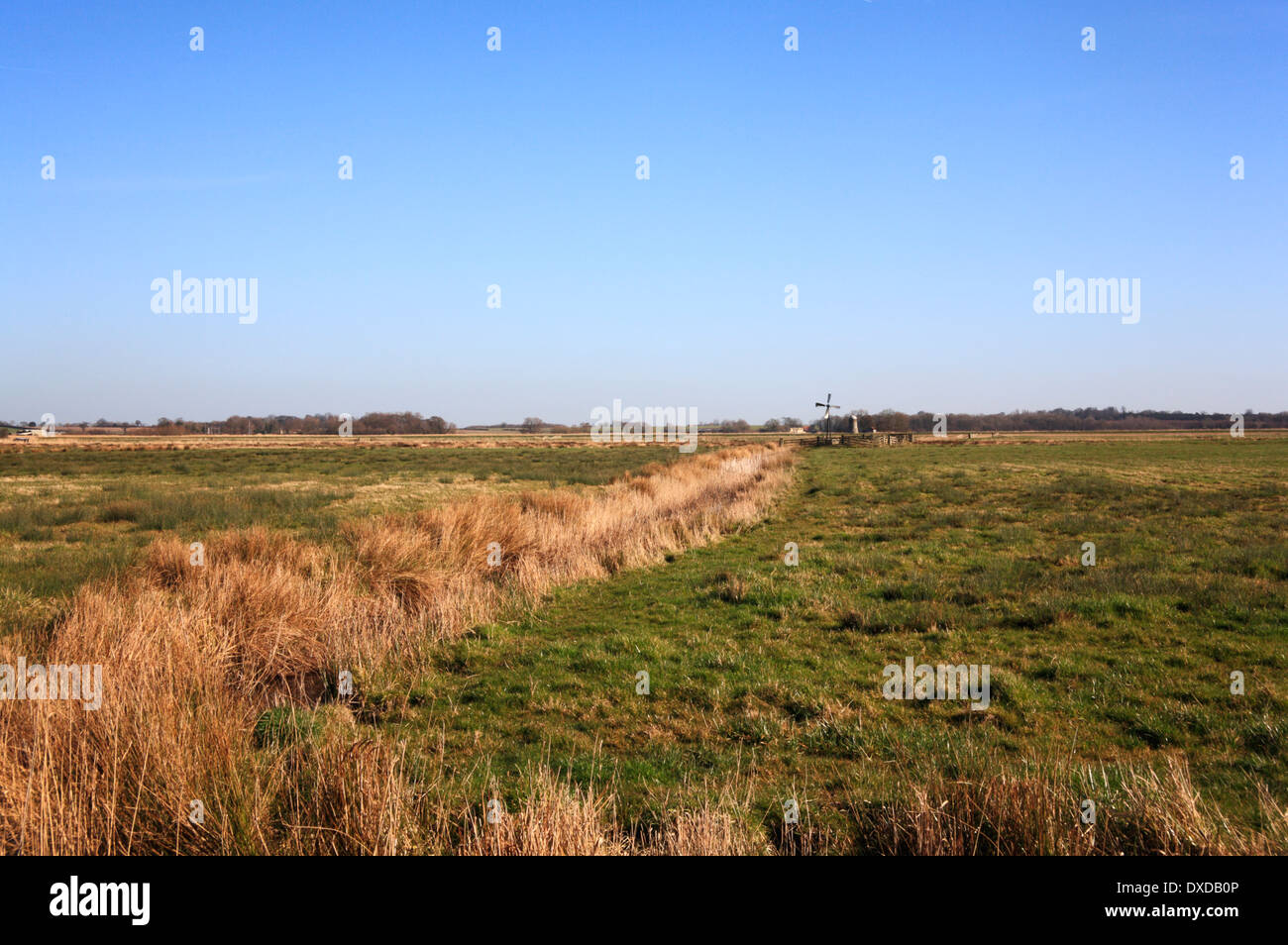 A view of a small dyke running over Upton Marshes on the Norfolk Broads