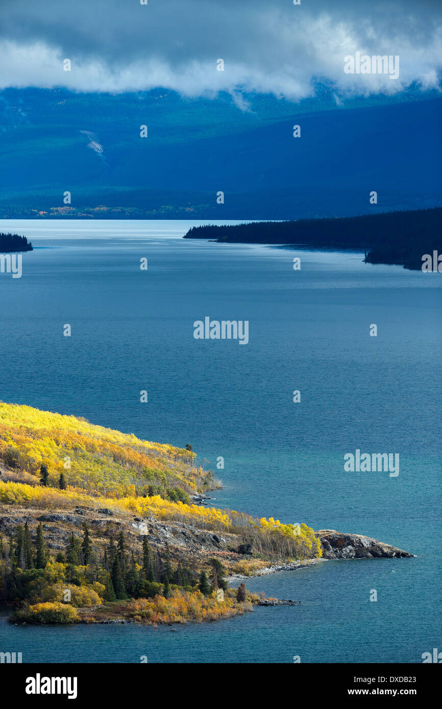 Bove Island, Tagish Lake, Yukon Territories, Canada Stock Photo Alamy