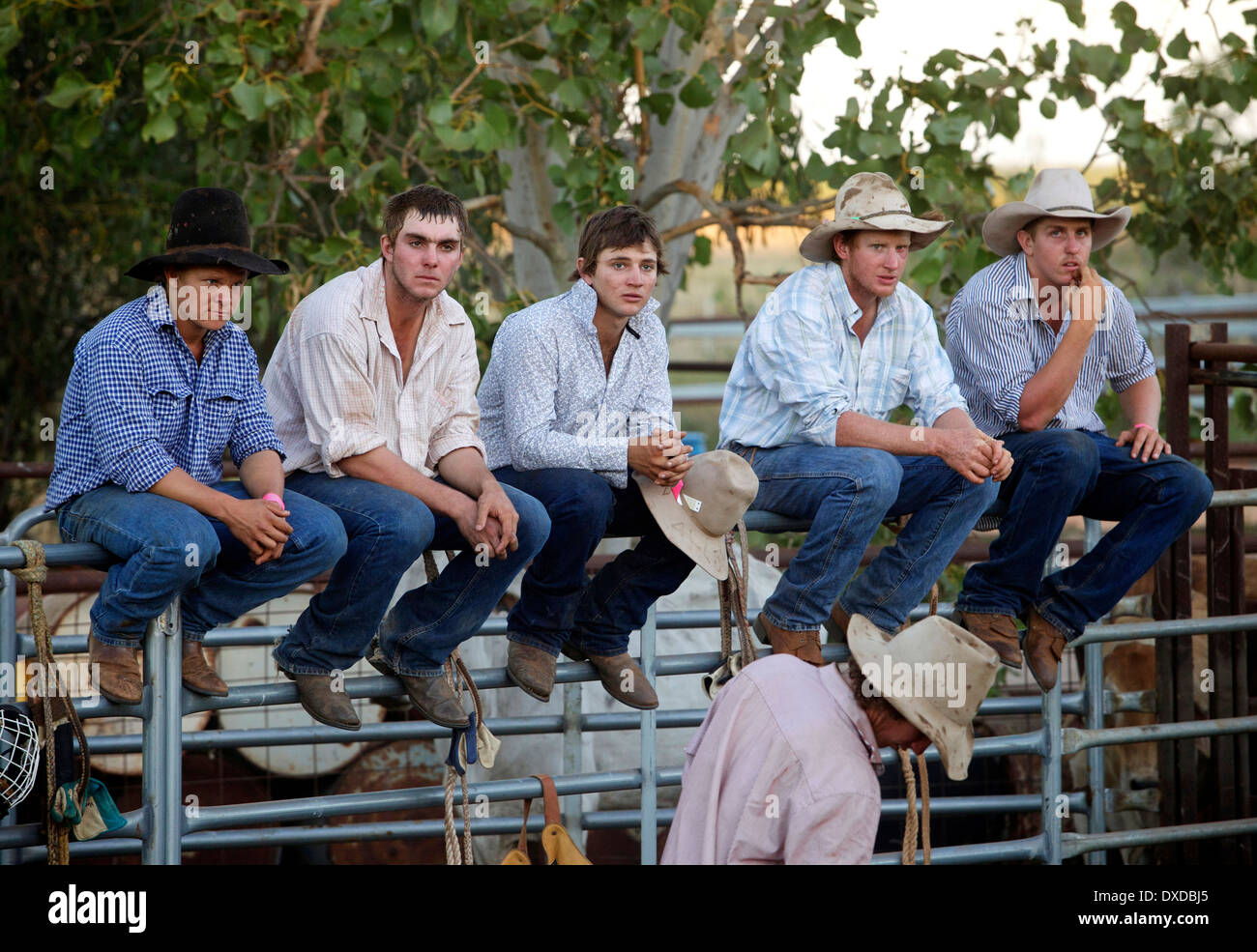 Outback Rodeo, Broome, Western Australia Stock Photo Alamy