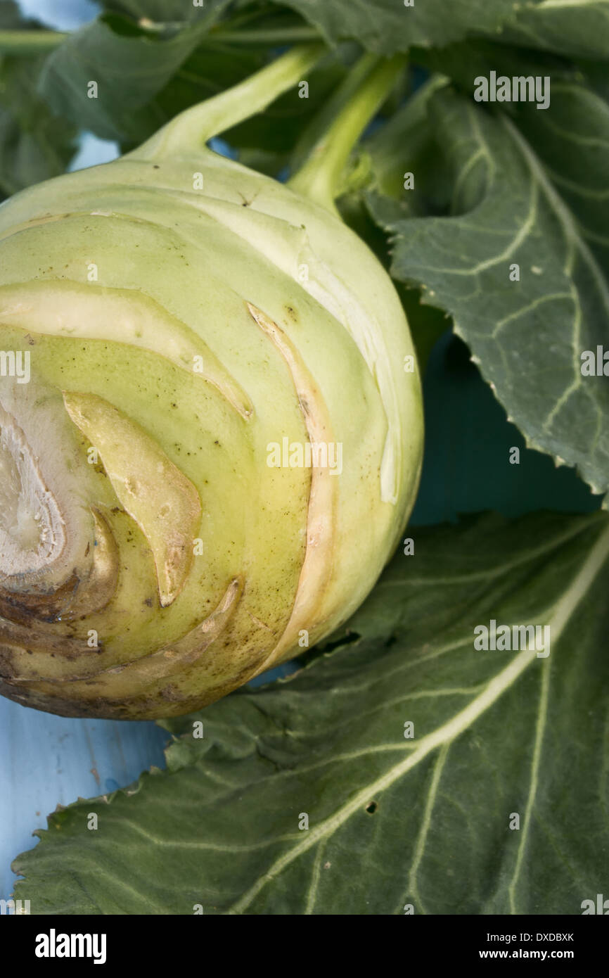 Kohlrabi is a vegetable from the cabbage family. It has plenty of