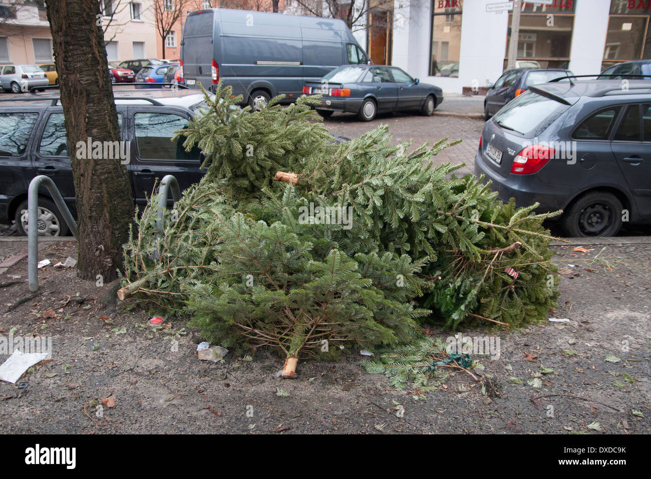 Abandoned Christmas trees in Berlin, Germany. Stock Photo