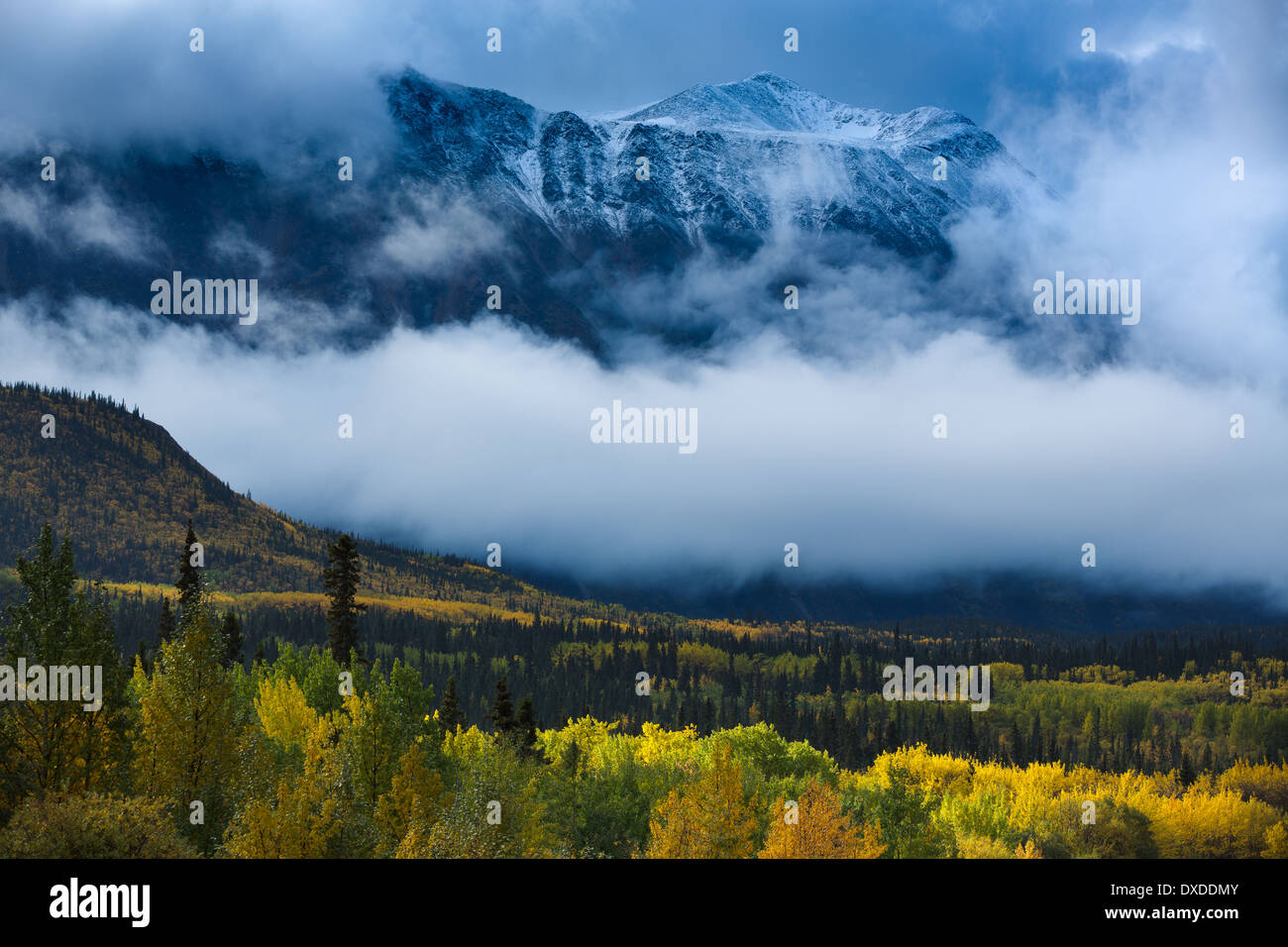 Autumn colours and Young Peak, British Columbia, Canada Stock Photo