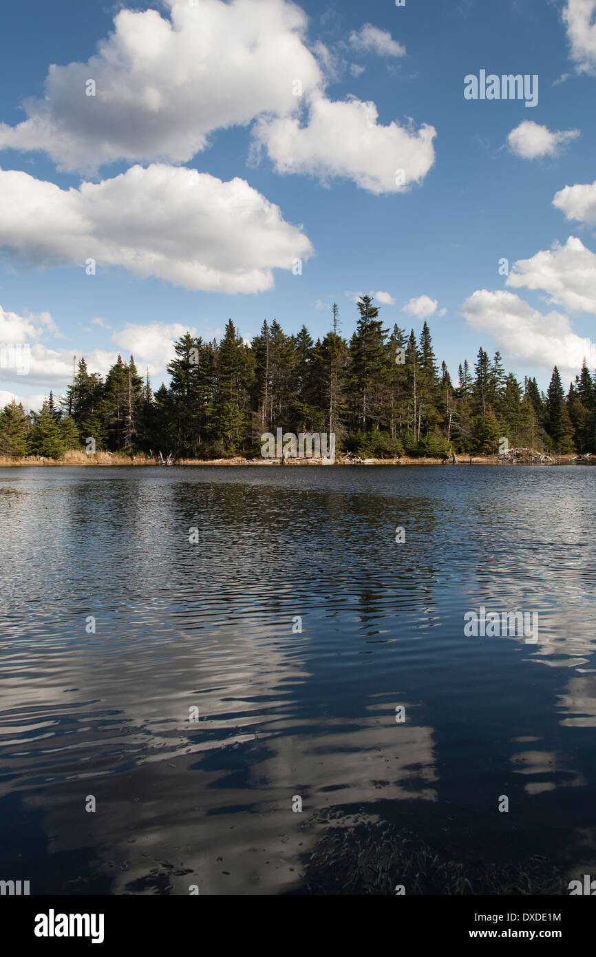 Skylight Pond, Vermont Stock Photo Alamy