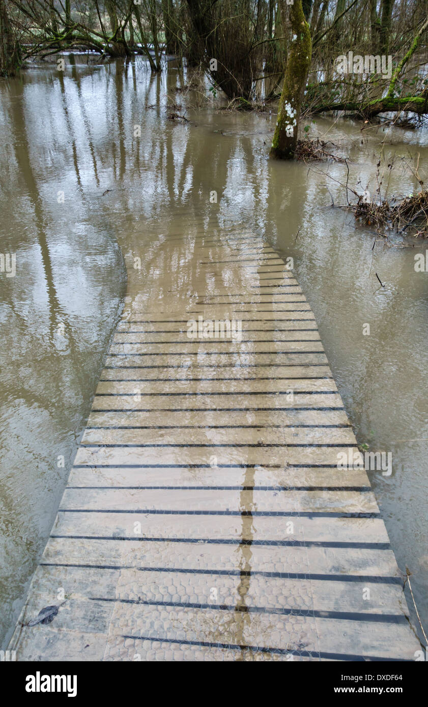 A walkway disappears under the water in a flooded nature reserve in winter, Herefordshire, UK Stock Photo