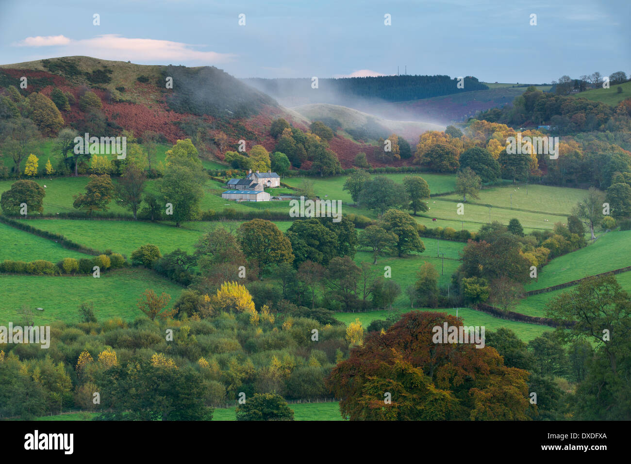 autumn colours and mist in the Dee Valley (Dyffryn Dyfrdwy) near Llangollen, Denbighshire, Wales Stock Photo
