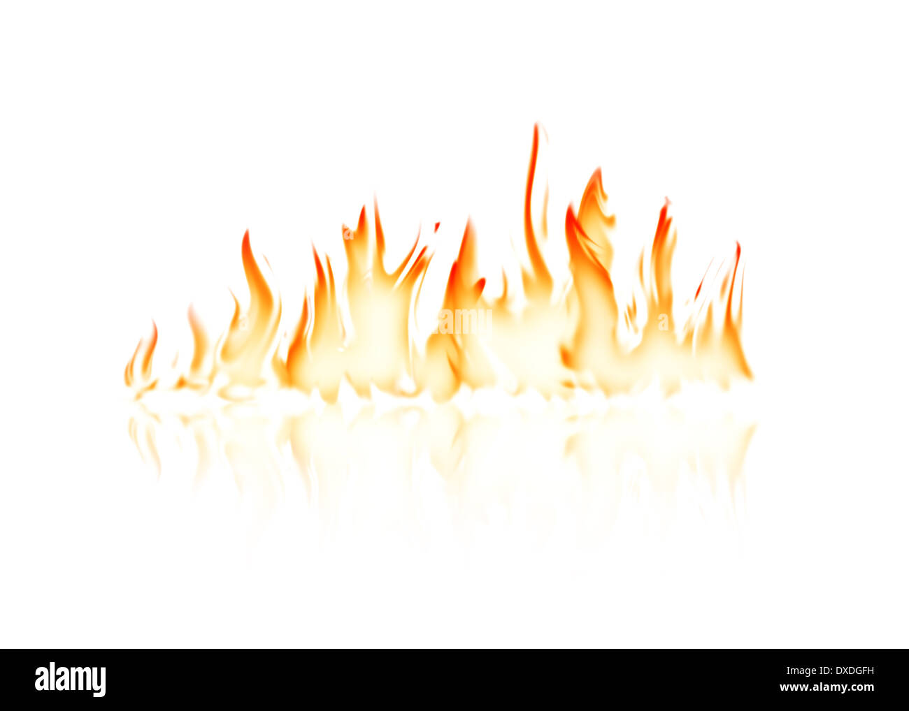 Burning fire flame with reflection on white background Stock Photo - Alamy
