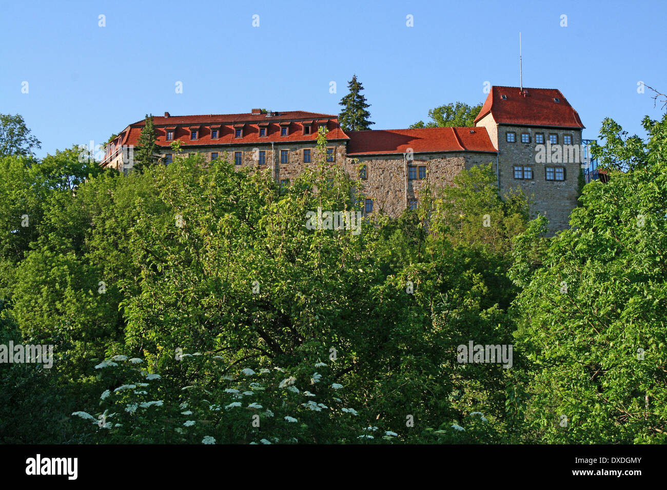 Castle creuzburg germany hi-res stock photography and images - Alamy