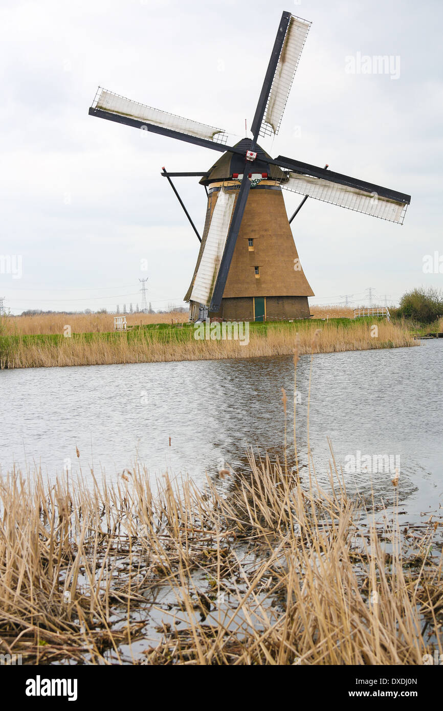 One of the 19 windmills of Kinderdijk, a famous Dutch tourist site. Stock Photo