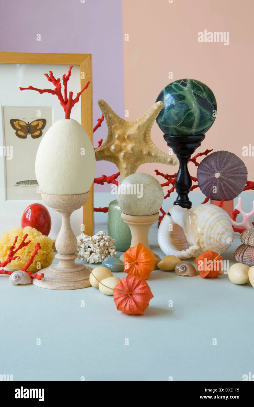 classic marine still life with egg in a wunderkammer style Stock Photo