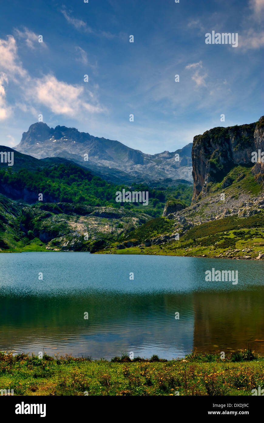 Summer view of the Picos de Europa in the Lakes of Covadonga, Cangas de