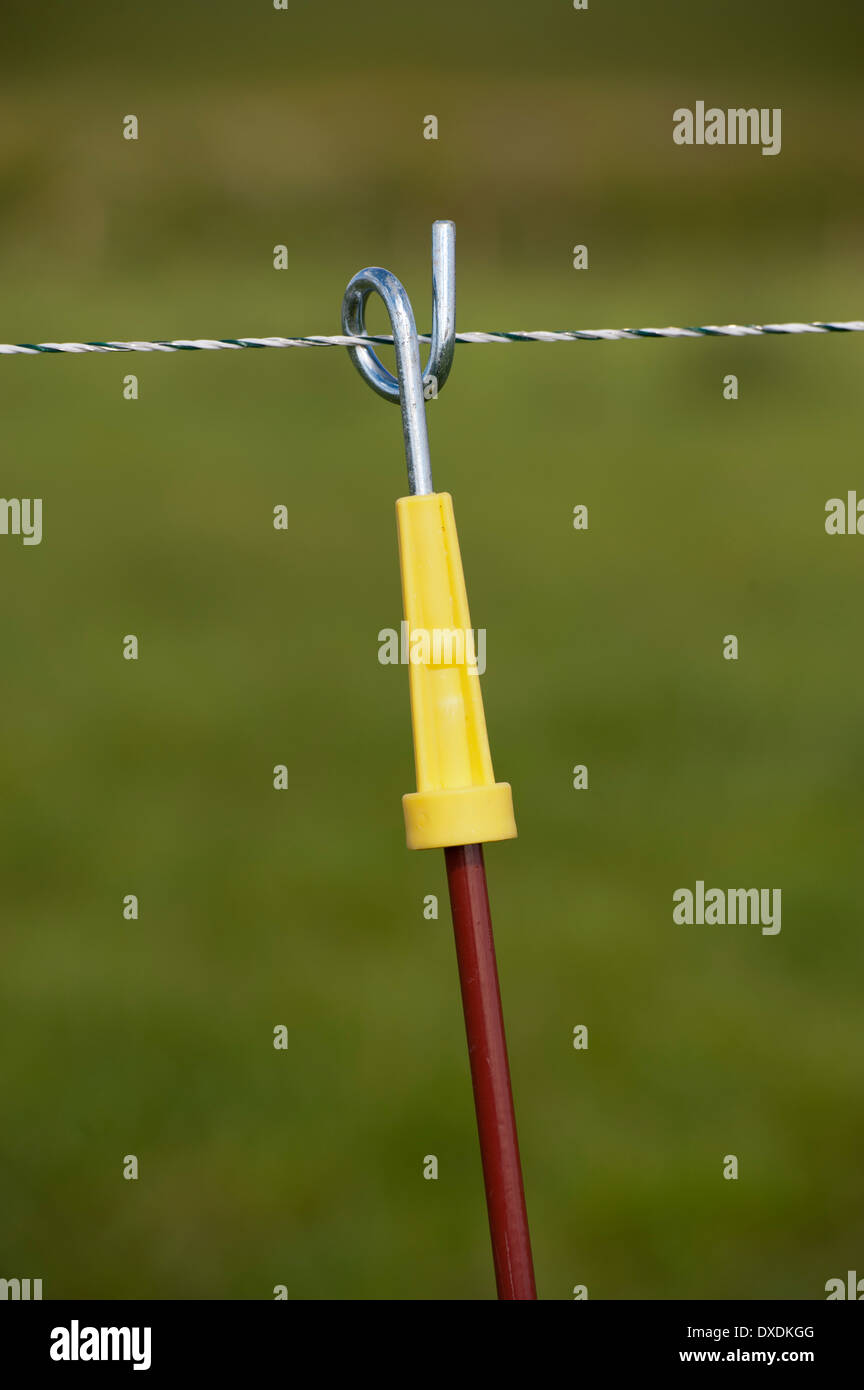 Electric fence set up along farm track to keep dairy cattle on