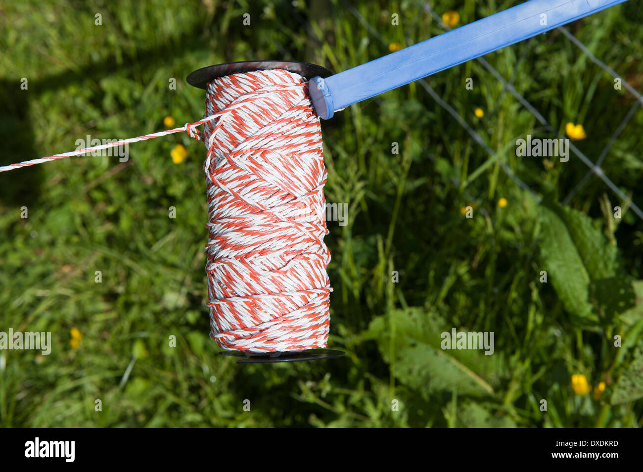 Electric fence wire hi-res stock photography and images - Alamy