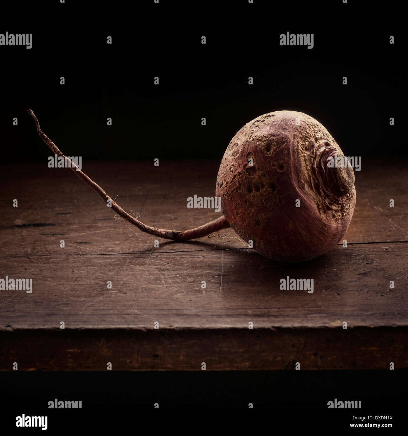 Curated visual reference: Visual Reference: Textured Studio Hi Res Stock Photography And Images