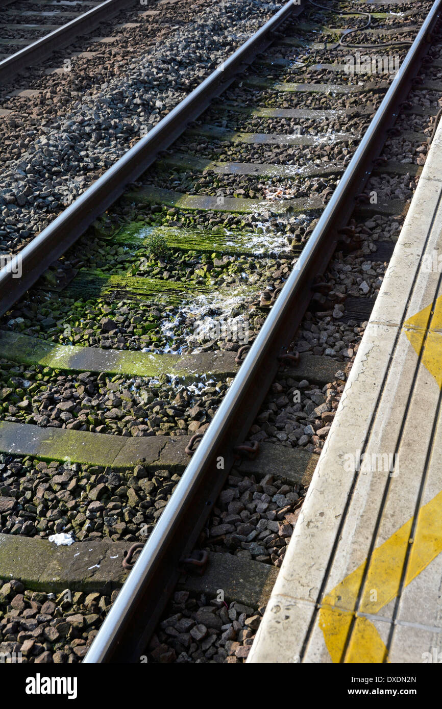 Excrement and white toilet paper deposited on railway track by passing passenger trains not fitted with holding tanks Essex England UK Stock Photo
