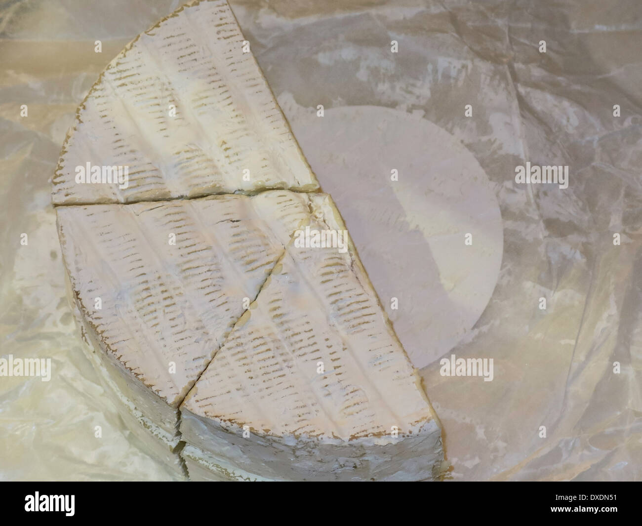 Huge Wheel of Brie Cheese, Commerical Cheese Store Stock Photo Alamy