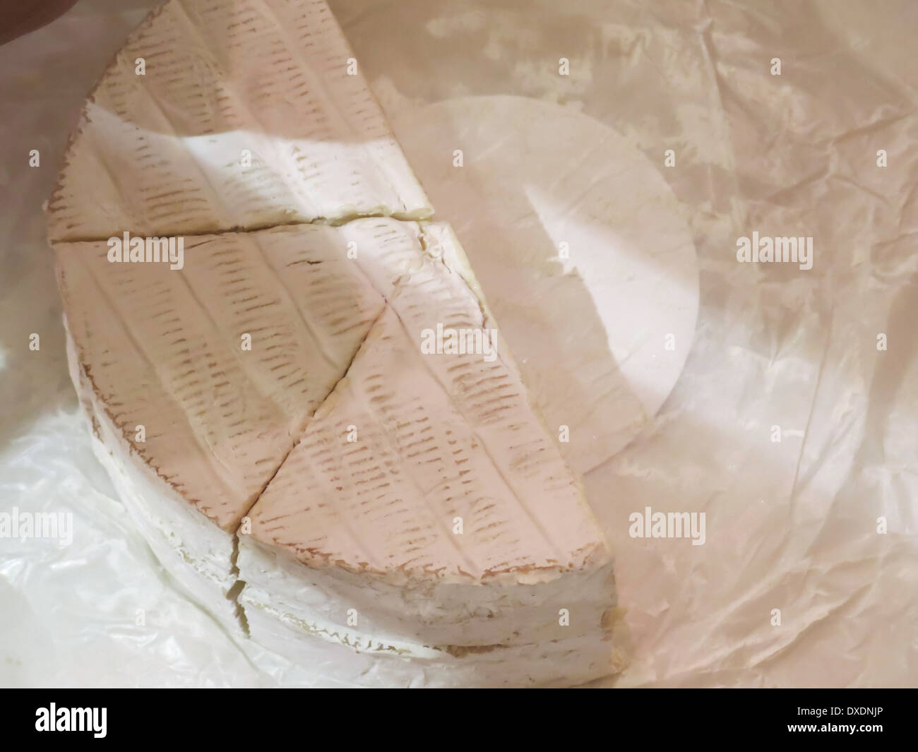 One Half of Sliced Wheel of Brie Cheese, Commerical Cheese Store, USA