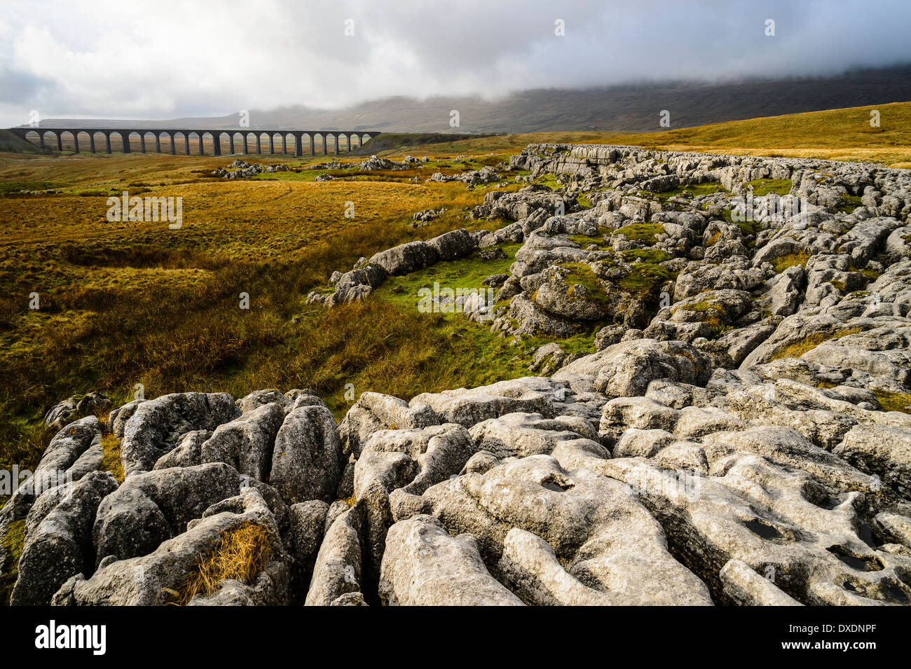 Fissured limestone outcrop at Ribblehead in the Yorkshire Dales with Ribblehead Viaduct behind Stock Photo