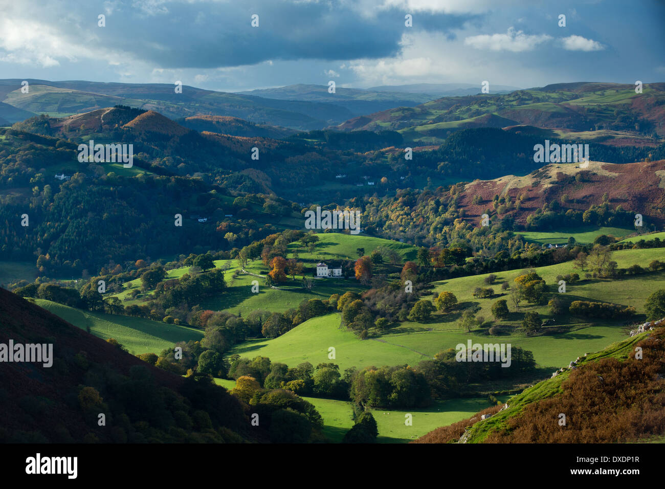 autumn colours and mist in the Dee Valley (Dyffryn Dyfrdwy) near Llangollen, Denbighshire, Wales Stock Photo