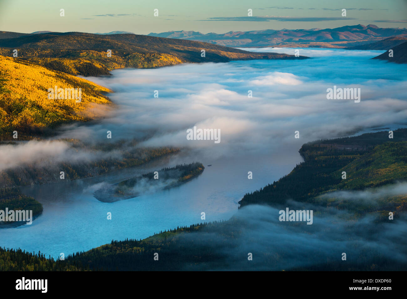 Mist in the valley of the Yukon River at dawn, downstream of Dawson City from Dome Hill, Yukon Territories, Canada Stock Photo