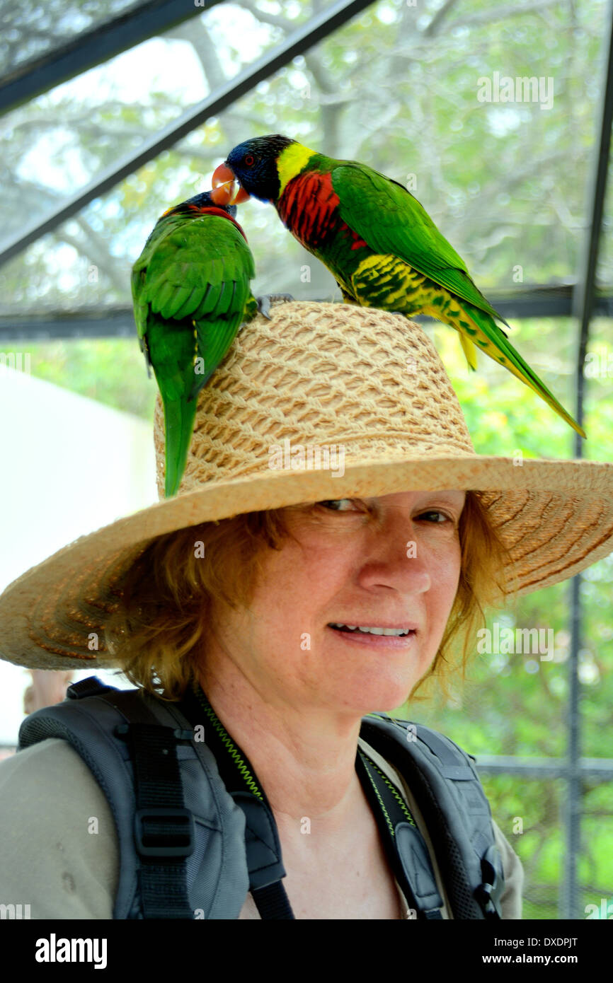 Parrots land on a woman's head in an aviary Stock Photo