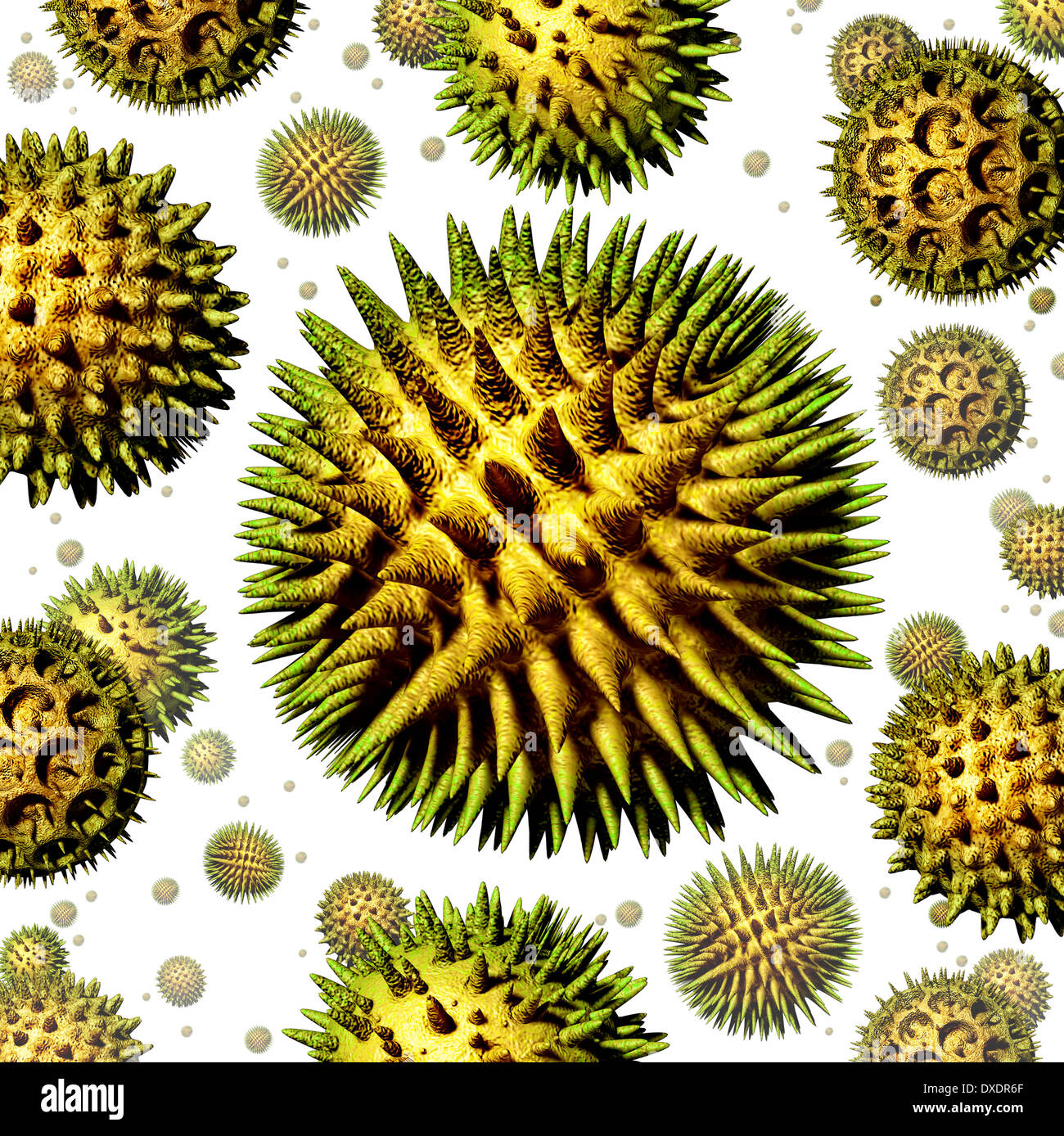 Pollen grains concept as a group of microscopic organic pollination