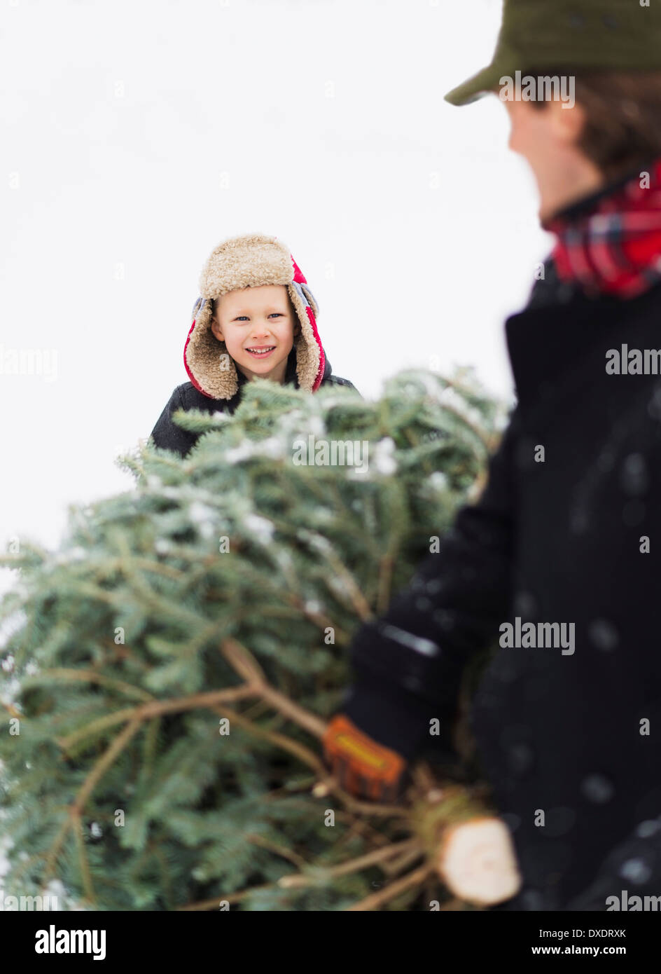 Father and son (6-7) carrying Christmas tree Stock Photo