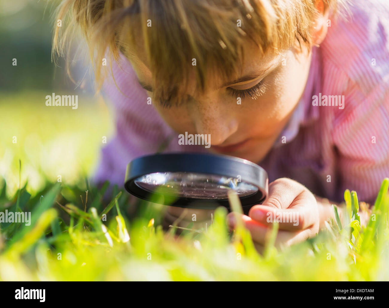 Boy 8 9 Searching For Bugs Stock Photo Alamy boy-8-9-searching-for-bugs-stock-photo-alamy