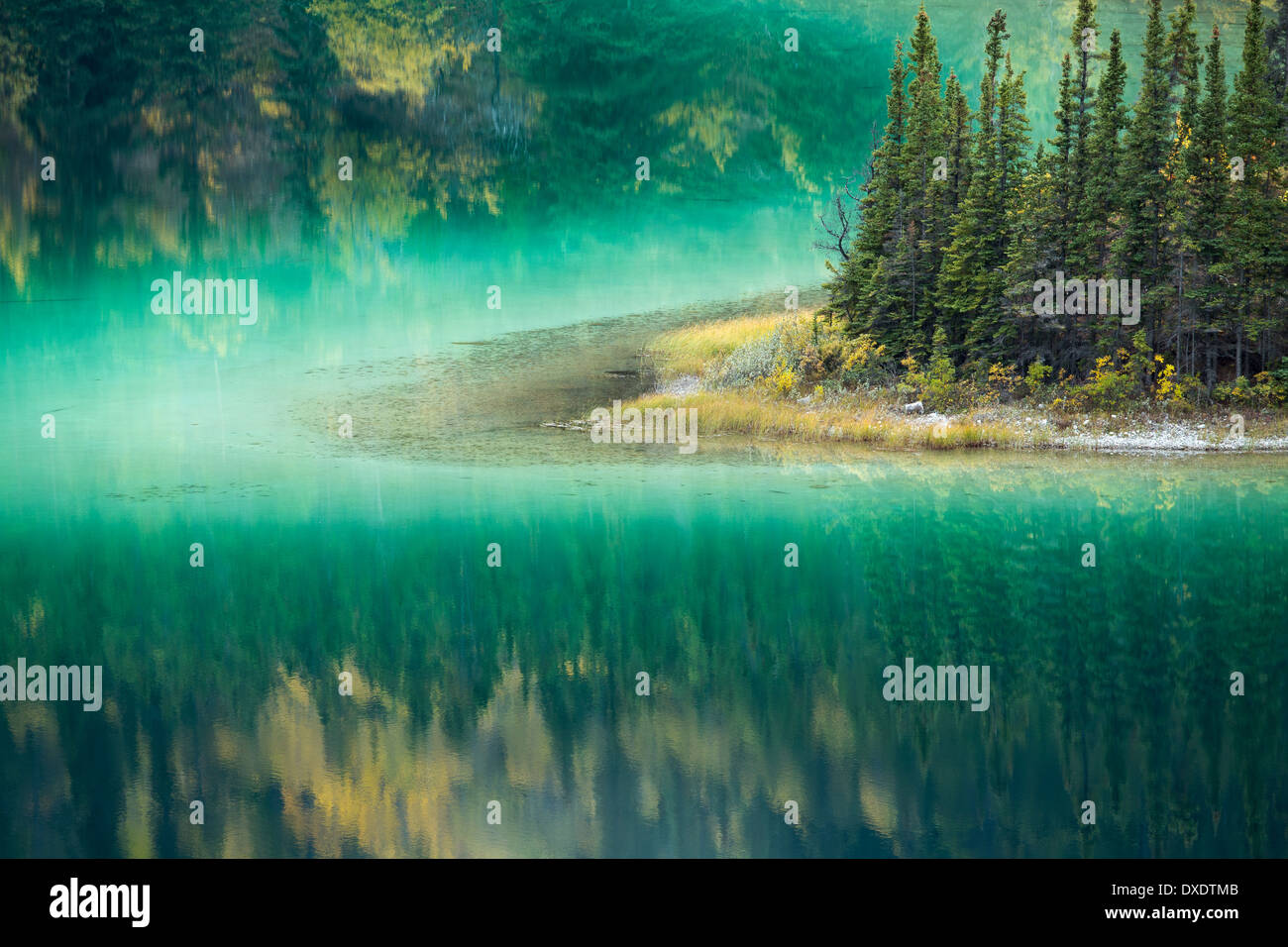 Emerald Lake, nr Carcross, Yukon Territories, Canada Stock Photo