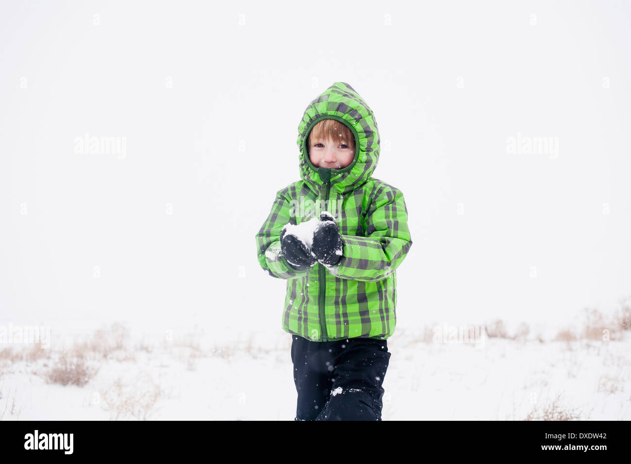 Boy (4-5) playing with snow, Colorado, USA Stock Photo
