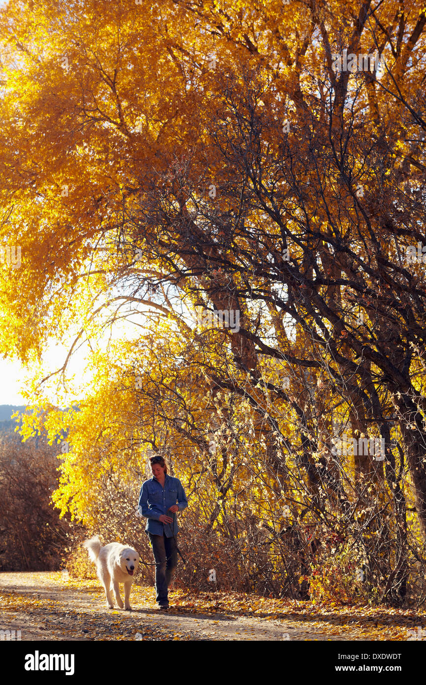 Woman walking her dog in forest, Colorado, USA Stock Photo Alamy