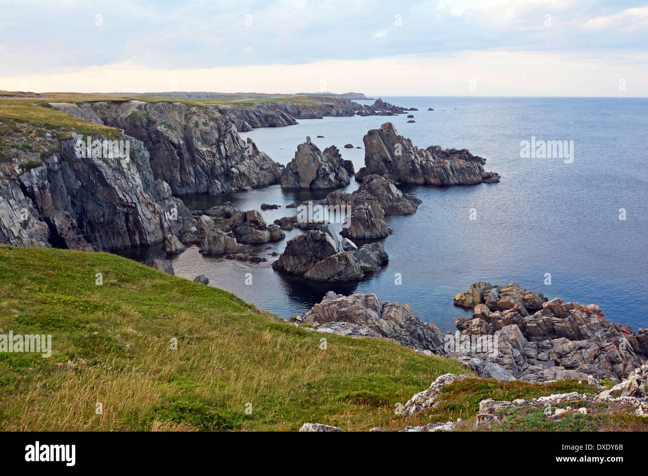 Atlantic sea shore, Newfoundland, Canada Stock Photo