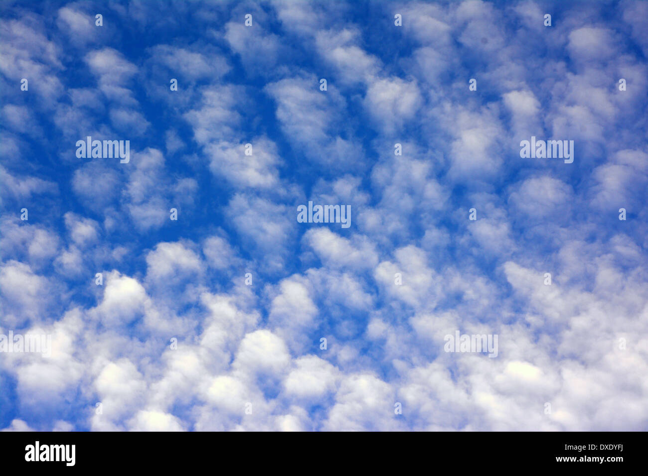 Cirrocumulus clouds in the Sky Stock Photo