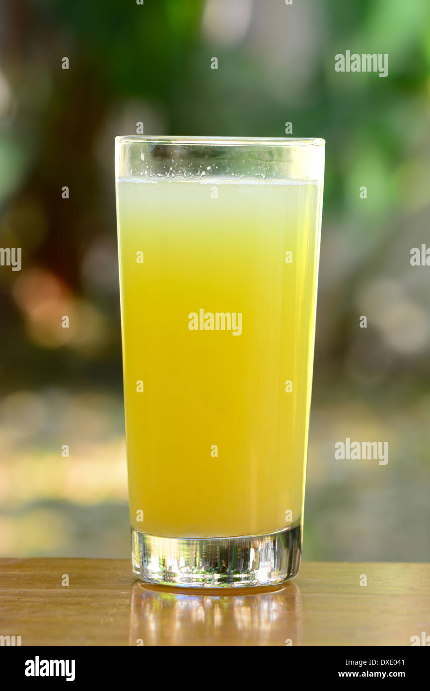 Glass of fresh grapefruit juice Stock Photo