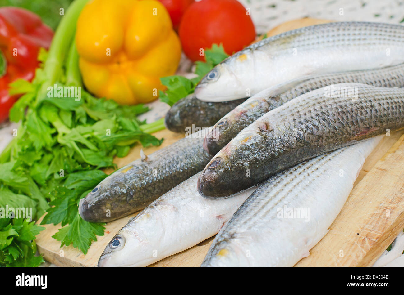 Mugil cephalus fish with vegetables. Stock Photo