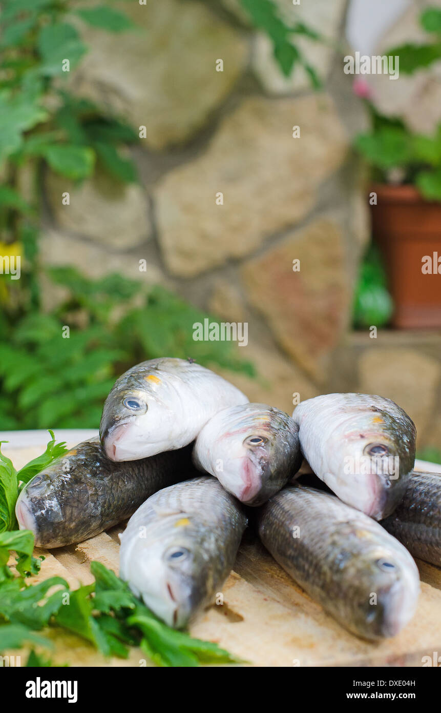 Mugil cephalus fish with vegetables. Stock Photo