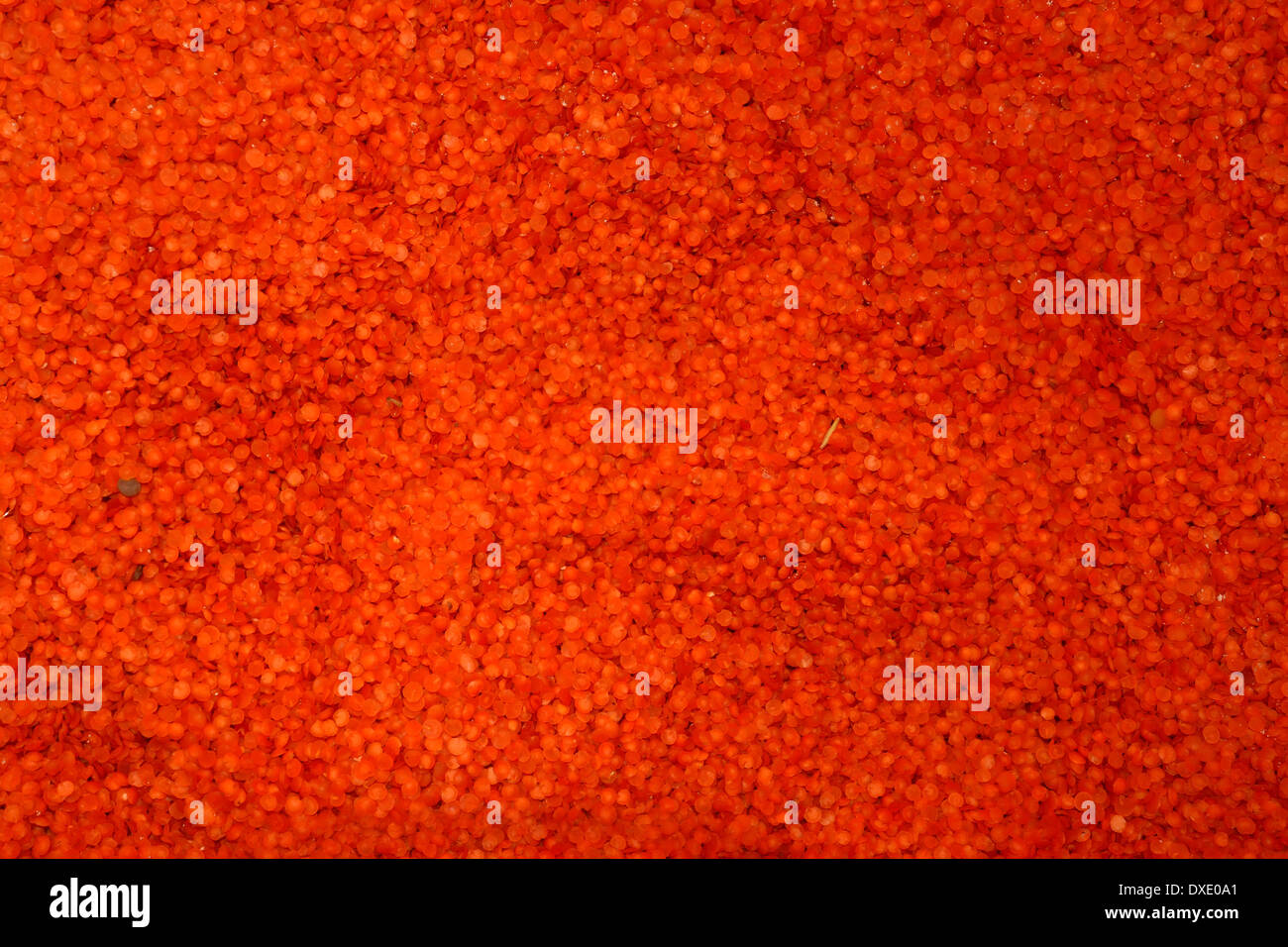 Red Lentils, Stock Photo