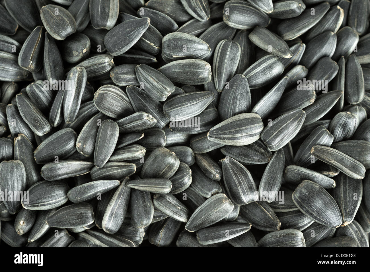 Sunflower seeds background Stock Photo Alamy