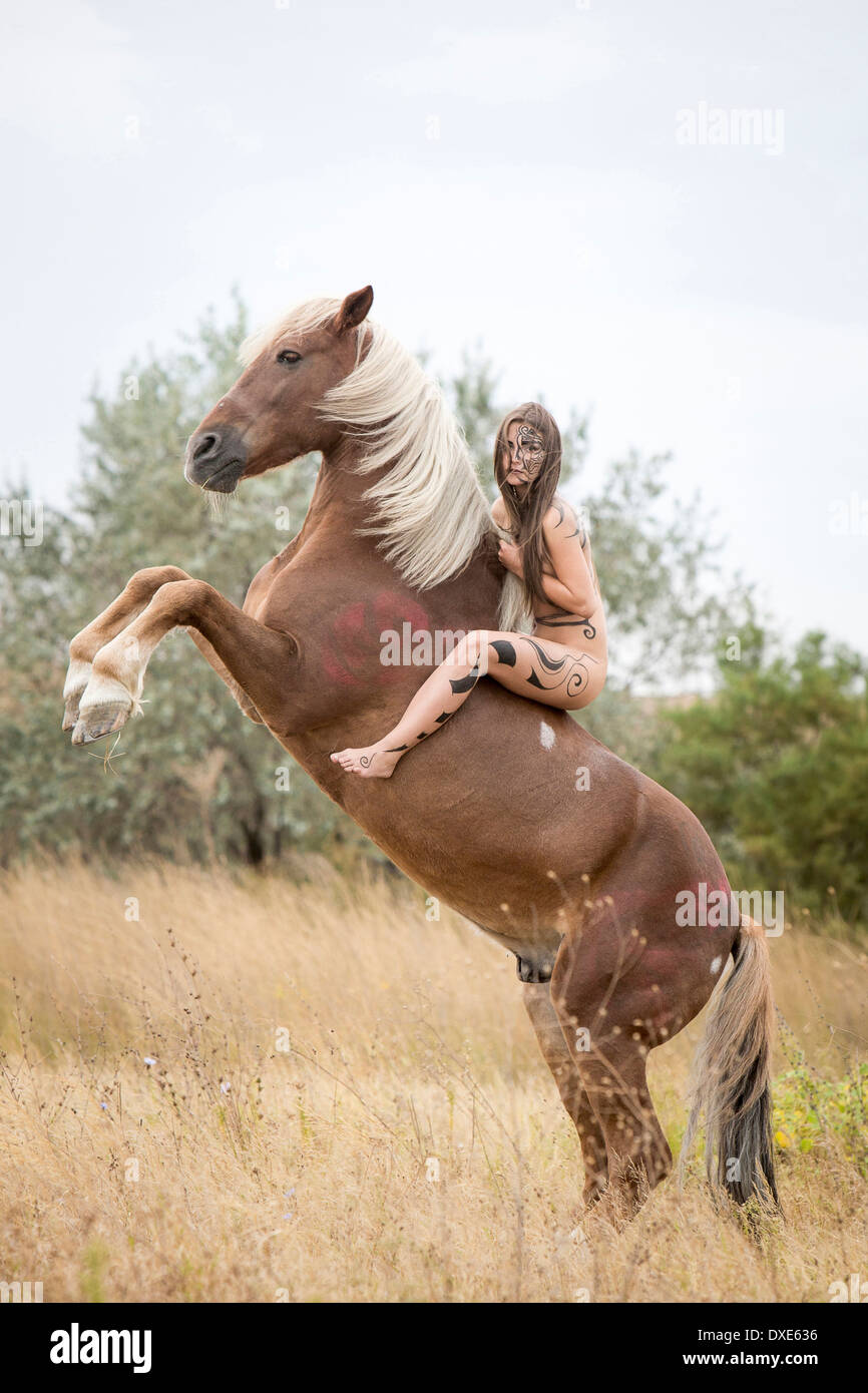 Pure Romanian Warmblood. Amazon on rearing chestnut horse. Romania Stock  Photo - Alamy