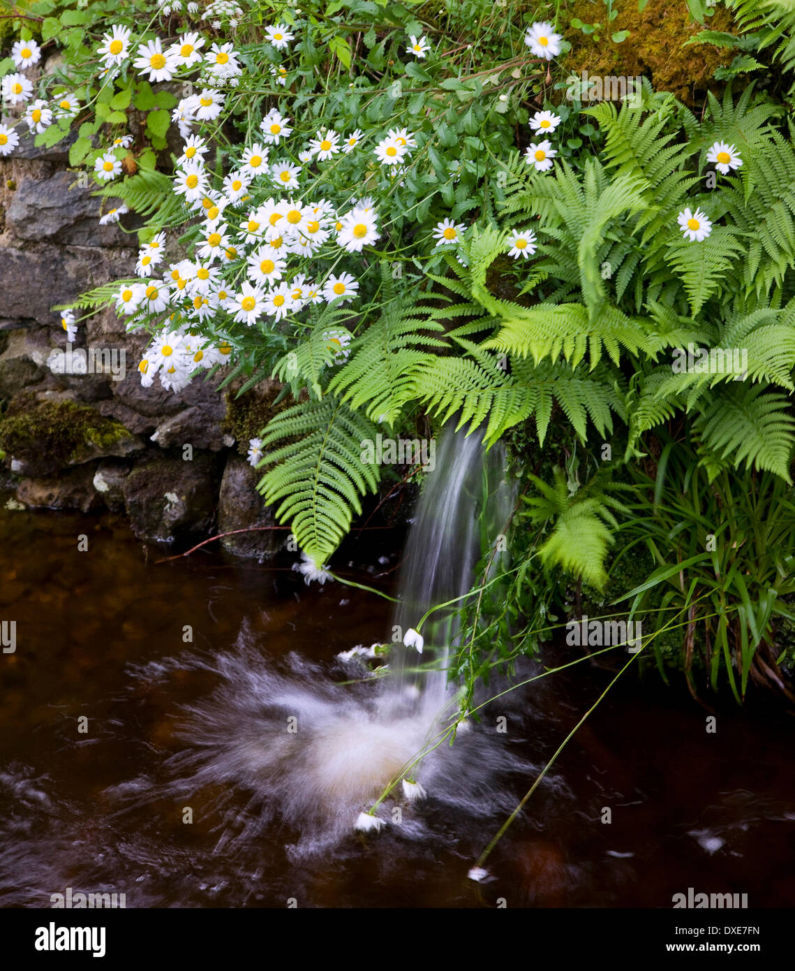 The nature hi-res stock photography and images - Alamy