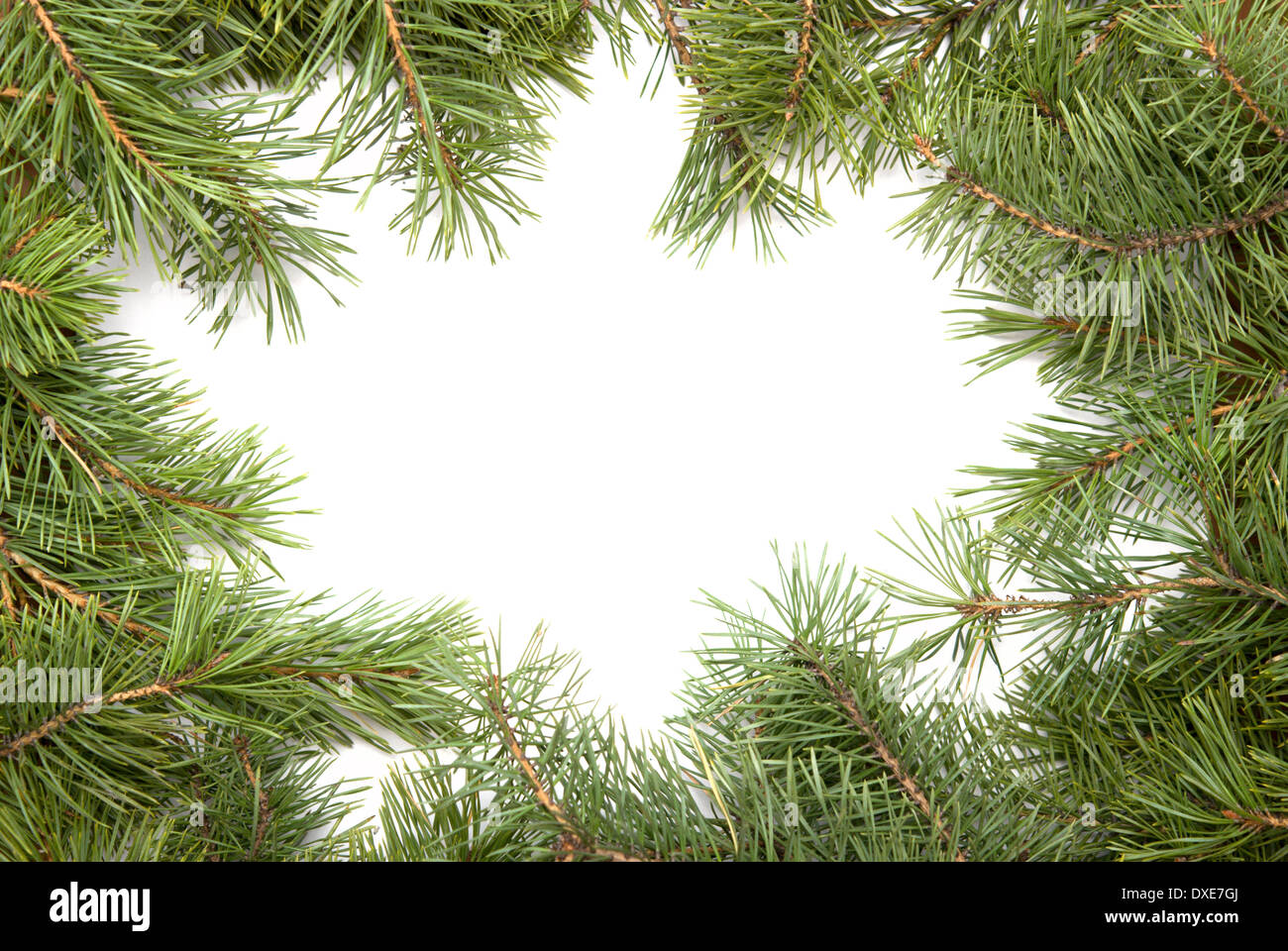pine frame isolated on white Stock Photo - Alamy