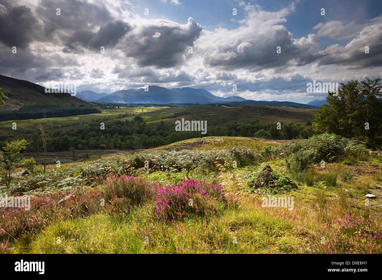 Ben Nevis from the great glen, Lochaber Stock Photo Alamy