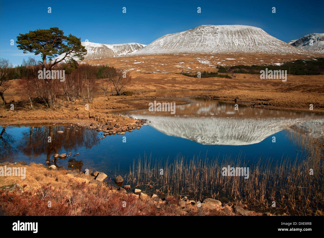 Bridge of Orchy hills from Loch Tulla ,Black mount,West Highlands.scotland. Stock Photo