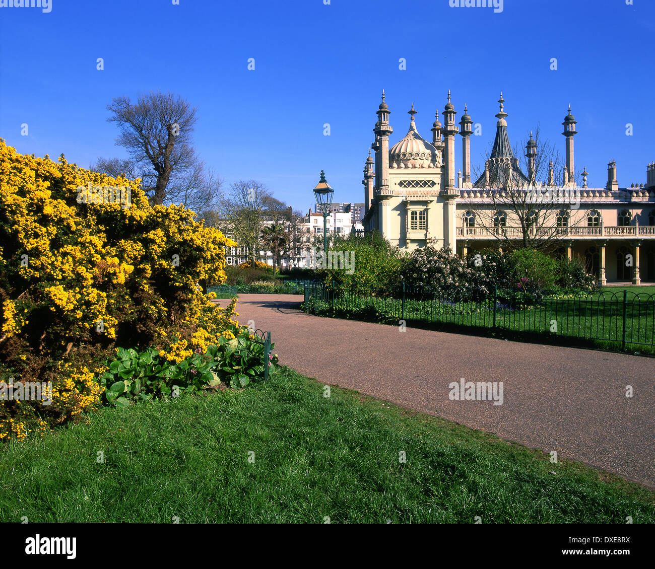 Spring Brighton View of the Brighton Pavilion in spring.City of Brighton Sussex Stock ...