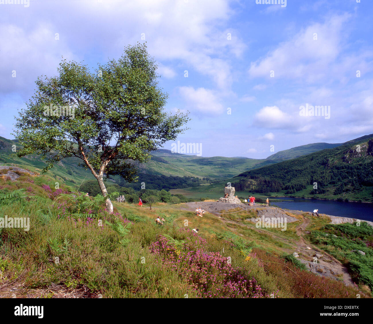 King Robert the bruces stone overlooking lochTrool,glentrool forest park,New galloway, Stock Photo