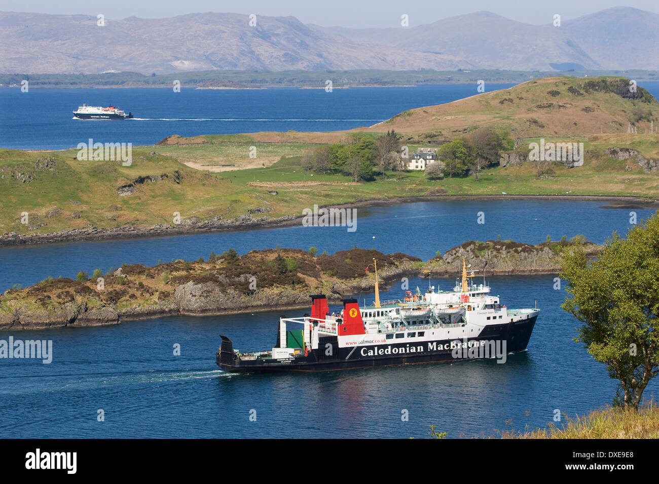 Two cal mac vessels in the oban area  from the sound of Kerrera argyll 2011 Stock Photo