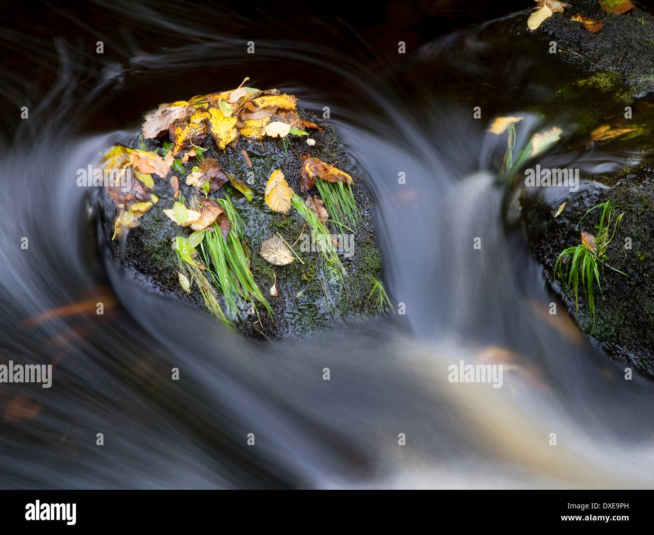 Autumn stream Stock Photo