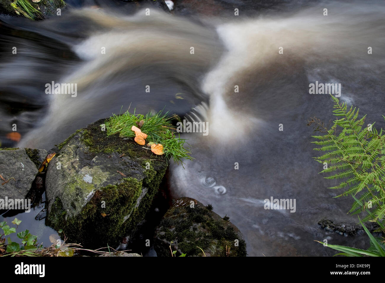 Fast flowing Stream Stock Photo